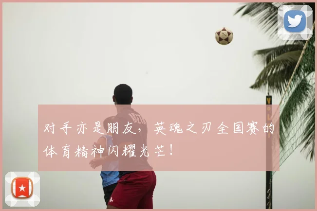 对手亦是朋友，英魂之刃全国赛的体育精神闪耀光芒！